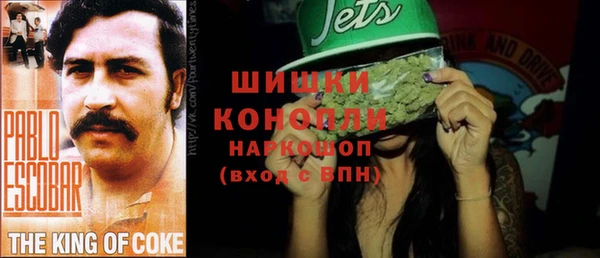 ГАЛЛЮЦИНОГЕННЫЕ ГРИБЫ Баксан