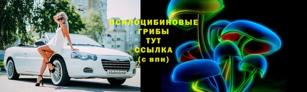 ГАЛЛЮЦИНОГЕННЫЕ ГРИБЫ Баксан