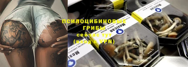меф Тихвин